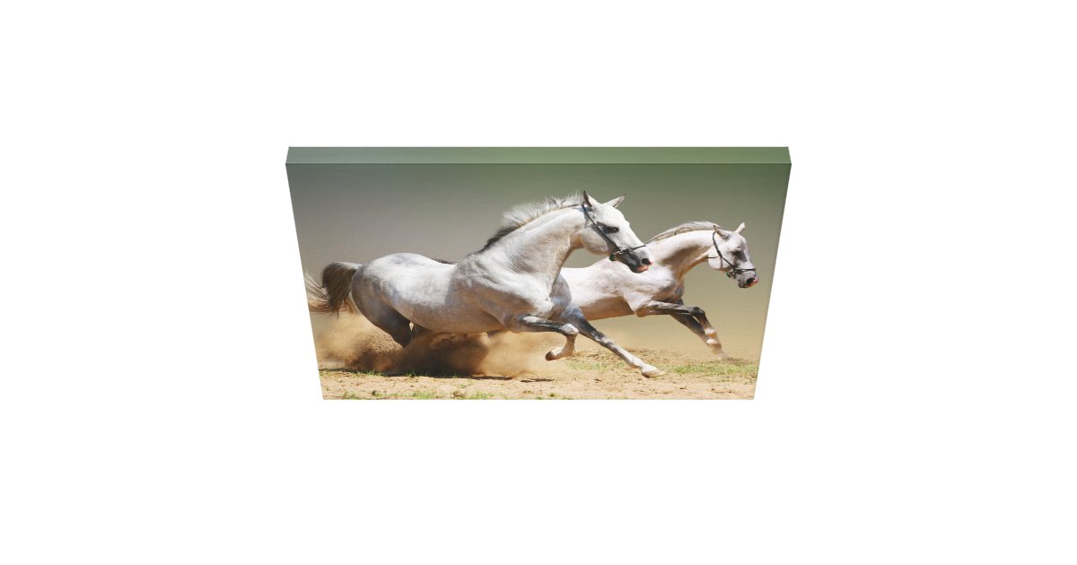Race the Wind Horses Canvas Print | Zazzle