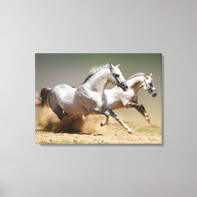 Race the Wind Horses Canvas Print (Front)