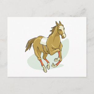 Racehorse Silks Horse Runs Gallps Trots Races Postcard