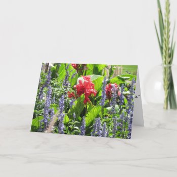 Rachel Carson Quote Card by Rinchen365flower at Zazzle
