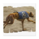 Racing Greyhound Dog Invitation