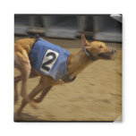 Racing Greyhound Square Magnet