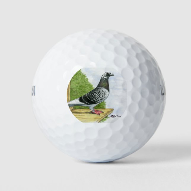 Racing Homer On the Landing Board Golf Balls (Front)