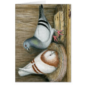 Racing Homers Home Life (Front)