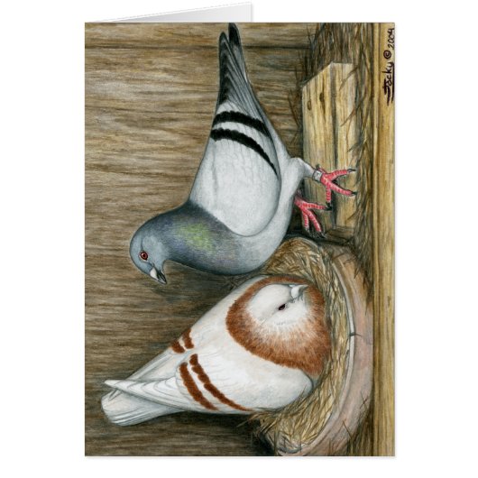 Racing Homers Home Life (Front)