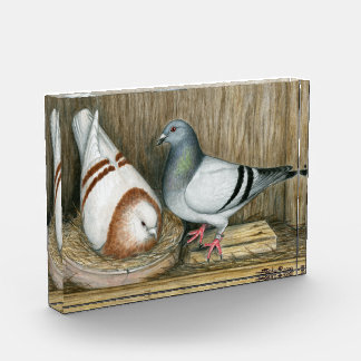 Racing Homers Home Life Acrylic Award