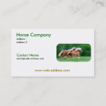 Racing Palomino Business Cards