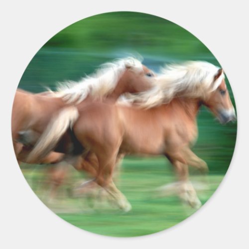 Racing Palomino Horses Sticker