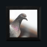 Racing pigeon jewelry box<br><div class="desc">A beautiful photo of a racing pigeon.</div>