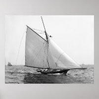 Racing Sailboat Helen, 1890 Poster