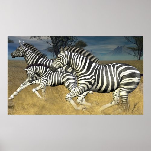 Racing Stripes _ Herd of Zebra Poster print