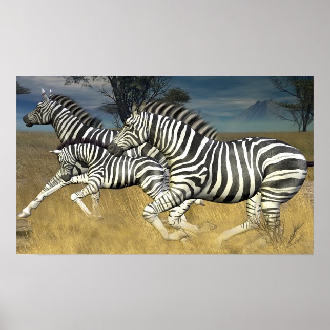 Racing Stripes - Running Zebra Print (Front)