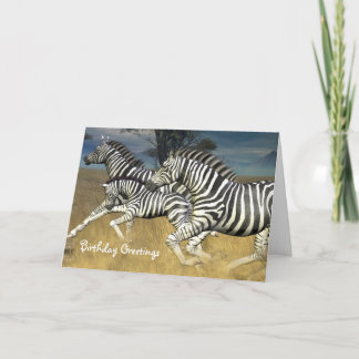 Racing Stripes - Zebra Birthday Card