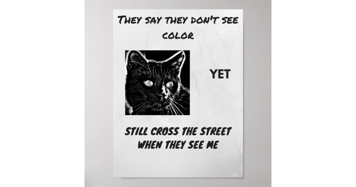 Racism Superstition Black Cat Quote Poster Zazzle Com