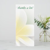 rack card - delicate frangipani photo (Standing Front)