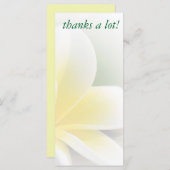 rack card - delicate frangipani photo (Front/Back)