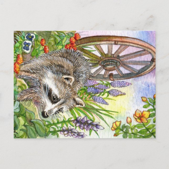 Racoon By Flower Garden Postcard (Front)