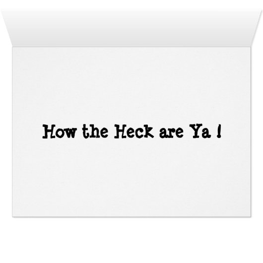 Racoon Cards (Inside Horizontal (Bottom))