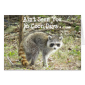 Racoon Cards (Front Horizontal)