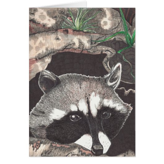 Racoon Cards (Front)