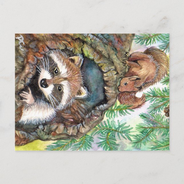 Racoon In The Tree Hole With Squirrel Postcard (Front)