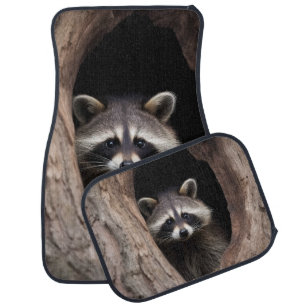 Racoon in Tree Cave  Car Floor Mat