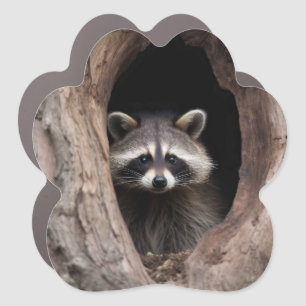 Racoon in Tree Cave Car Magnet