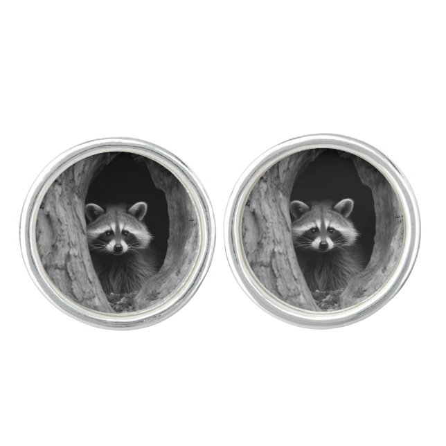 Racoon in Tree Cave  Cufflinks (Front)