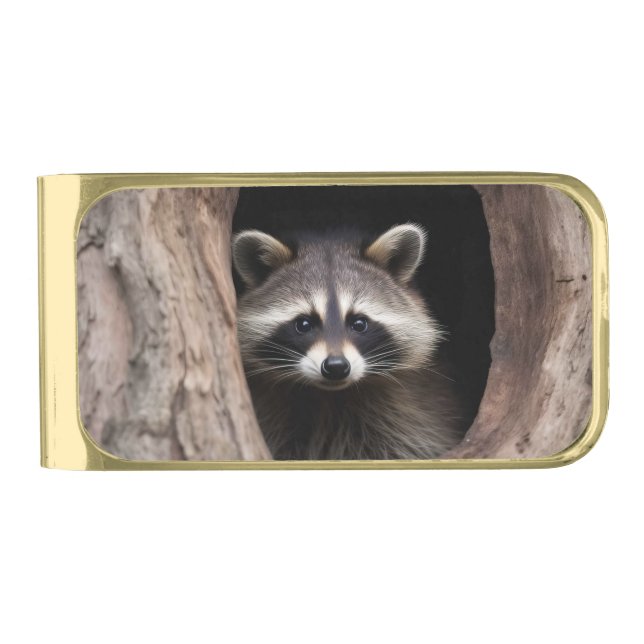 Racoon in Tree Cave  Gold Finish Money Clip (Front)