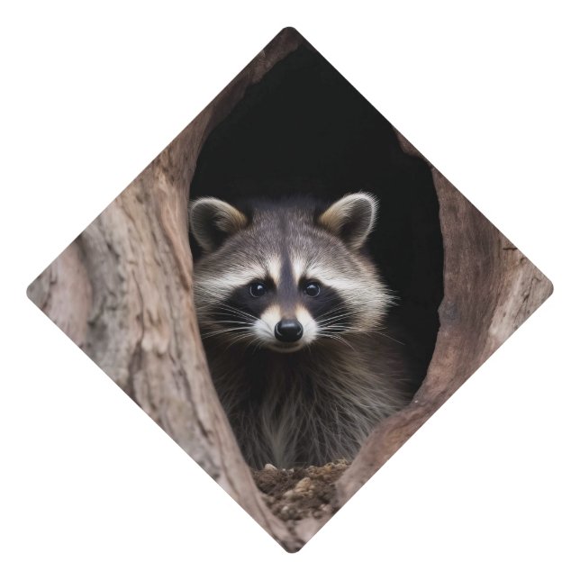 Racoon in Tree Cave  Graduation Cap Topper (Front)