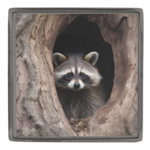Racoon in Tree Cave Gunmetal Finish Lapel Pin