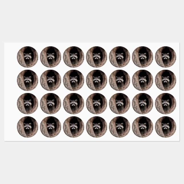 Racoon in Tree Cave  Labels (Sheet)