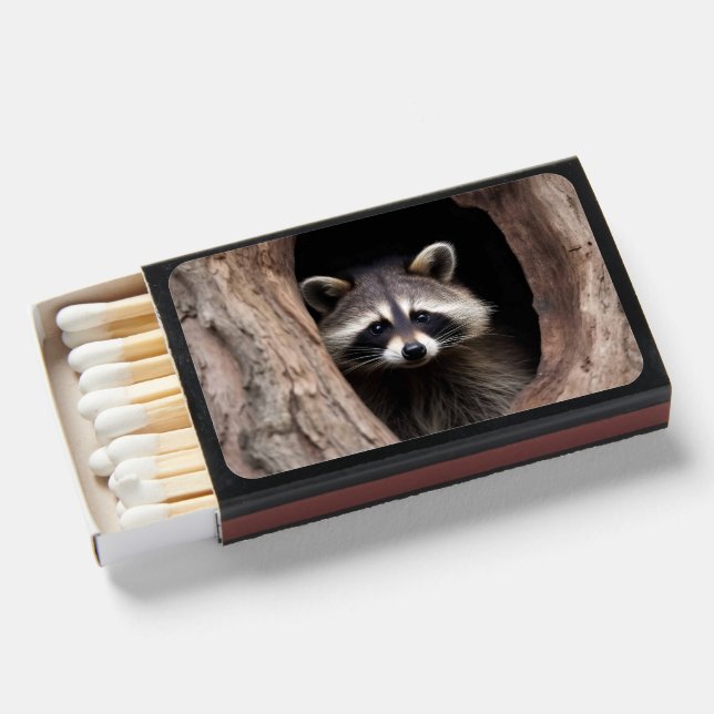 Racoon in Tree Cave  Matchboxes (Front Open)