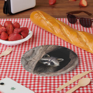 Racoon in Tree Cave  Paper Plates