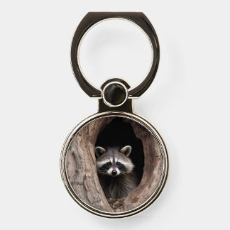 Racoon in Tree Cave Phone Ring Stand