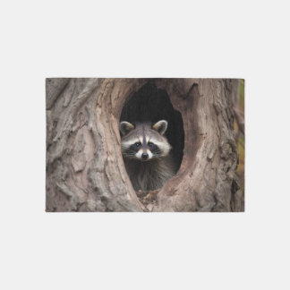 Racoon in Tree Cave  Rug