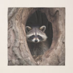 Racoon in Tree Cave  Scarf<br><div class="desc">Cute young raccoon looking out from the inside of big tree.</div>