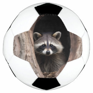 Racoon in Tree Cave  Soccer Ball
