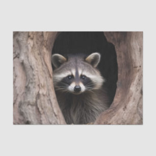 Racoon in Tree Cave  Tissue Paper