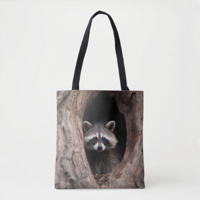 Racoon in Tree Cave 