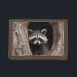 Racoon in Tree Cave  Trifold Wallet<br><div class="desc">Cute young raccoon looking out from the inside of big tree.</div>