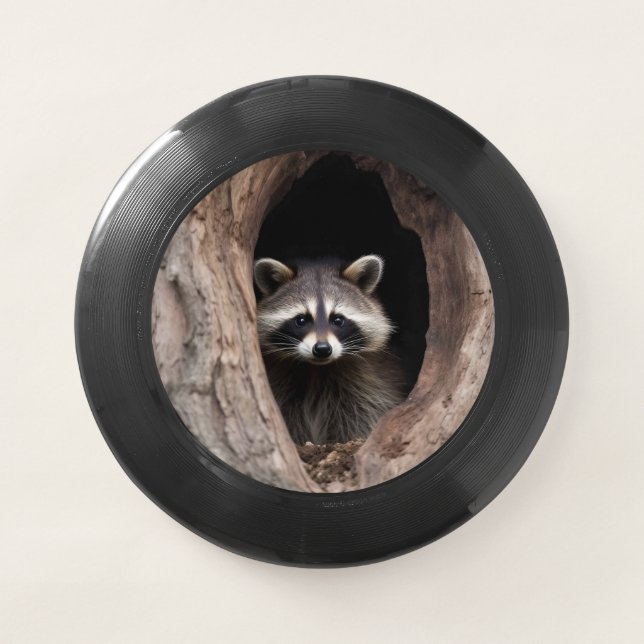 Racoon in Tree Cave  Wham-O Frisbee (Front)
