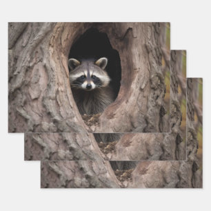 Racoon in Tree Cave Wrapping Paper Sheets
