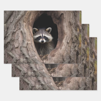 Racoon in Tree Cave  Wrapping Paper Sheets