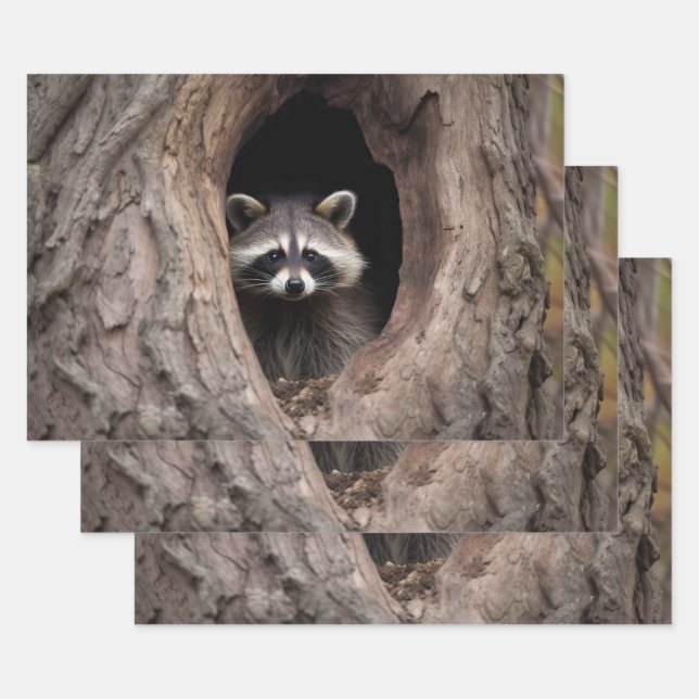 Racoon in Tree Cave  Wrapping Paper Sheets (Set)