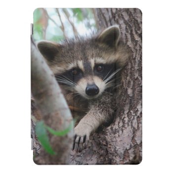 Racoon Ipad Pro Cover by NatureTales at Zazzle