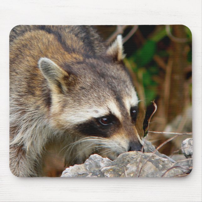 Racoon Mousepad (Front)