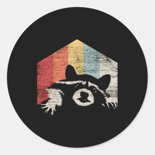 Racoon Raccoon Classic Round Sticker