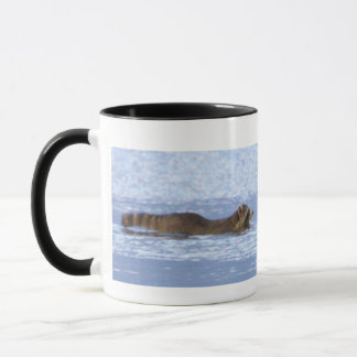 Racoon Swimming Mug