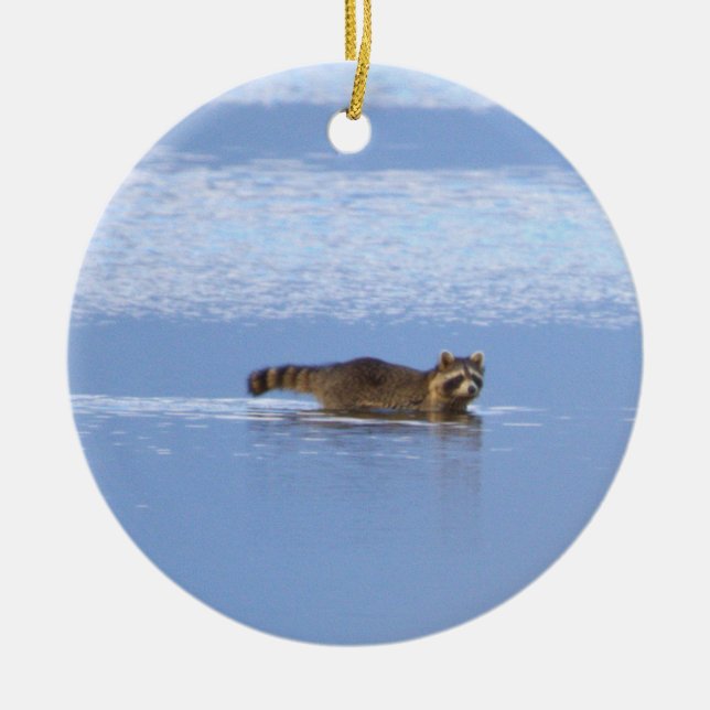 Racoon Swimming Photo Ornament  (Front)